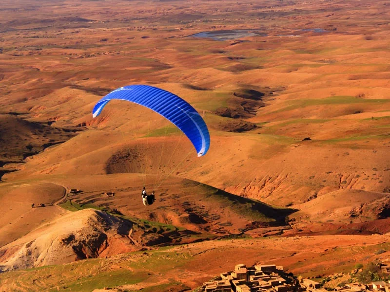 Blue wing over the ochre hills near Marrakech